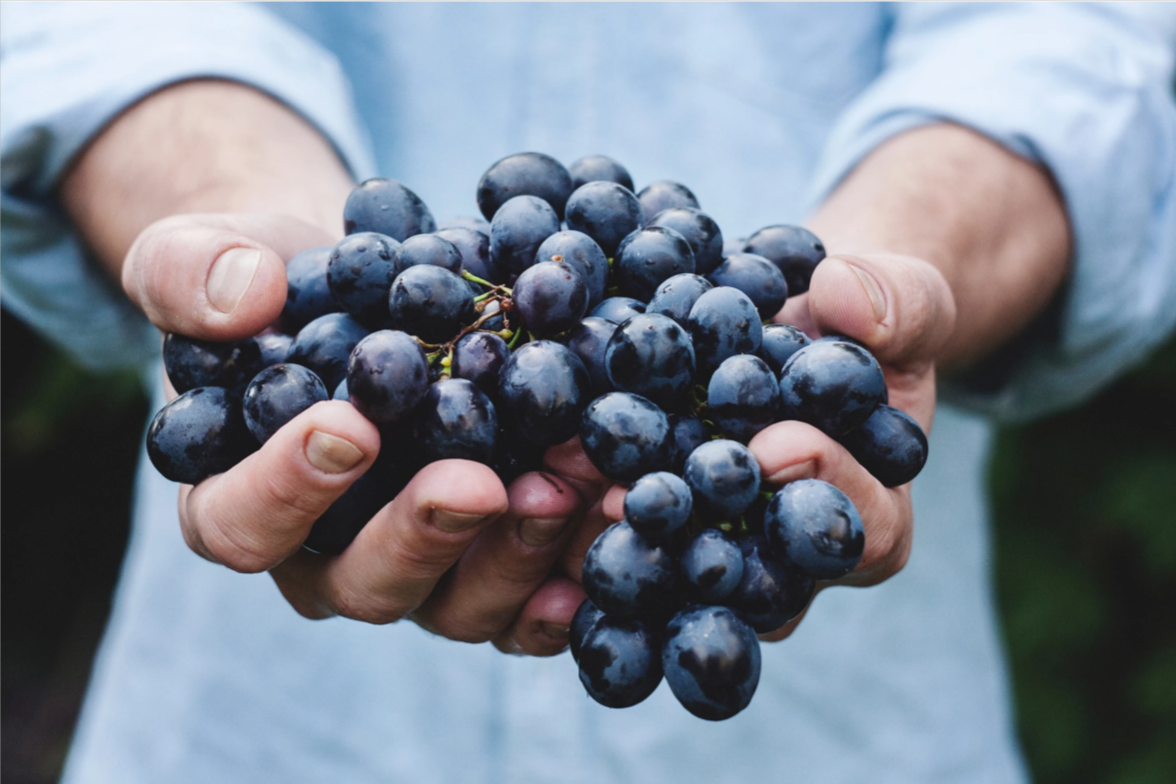 The Wines of Sardinia