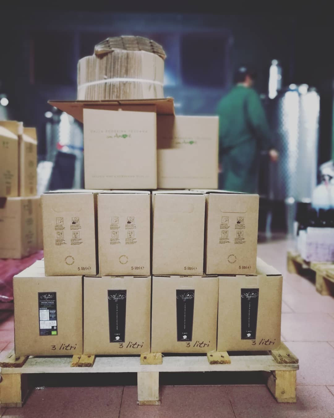 Poderi Borselli Cecco EVOO bottle 2023