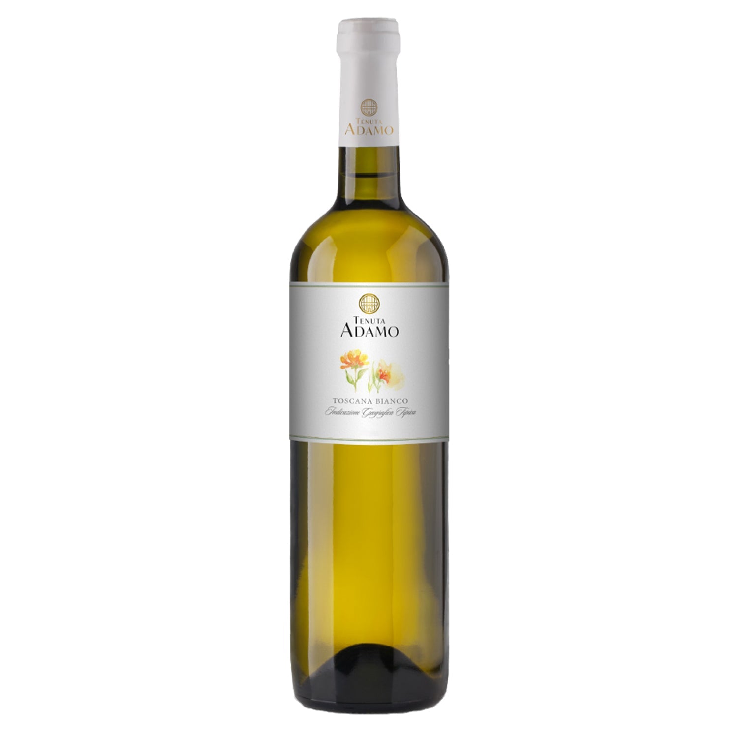 Toscana Bianco IGT 2025 | Tenuta Adamo – Tuscan White Wine