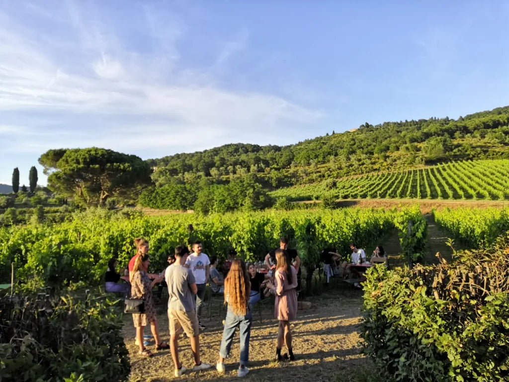 Frascole Società Agricola