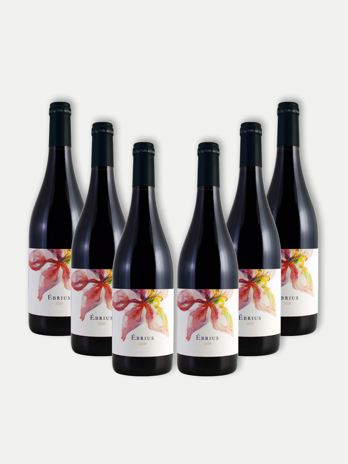 Ebrius - Sangiovese - Toscana Rosso 2022 - Box of 6