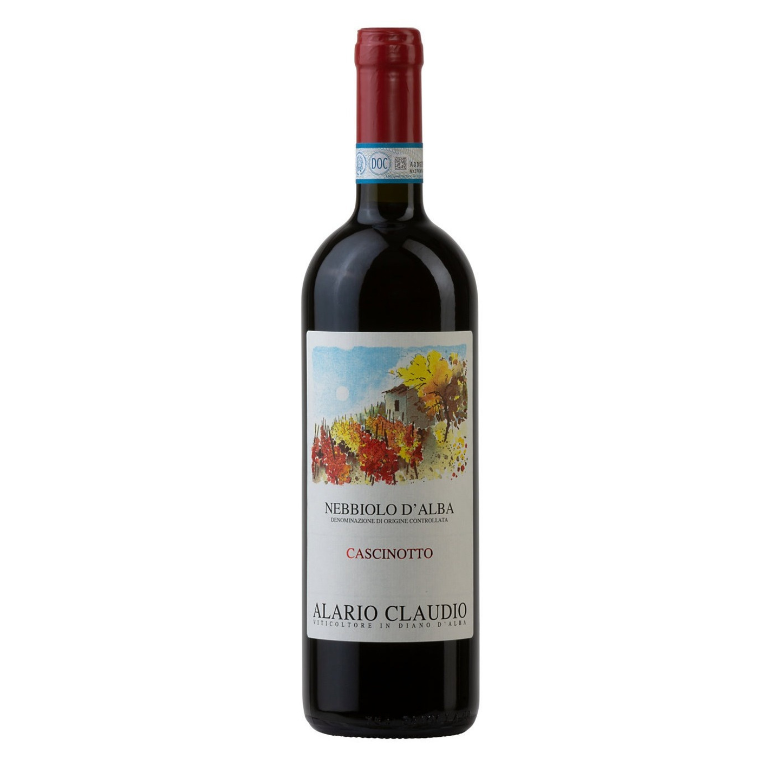 Nebbiolo d’Alba Cascinotto – Alario Claudio 2021/2022 bottle