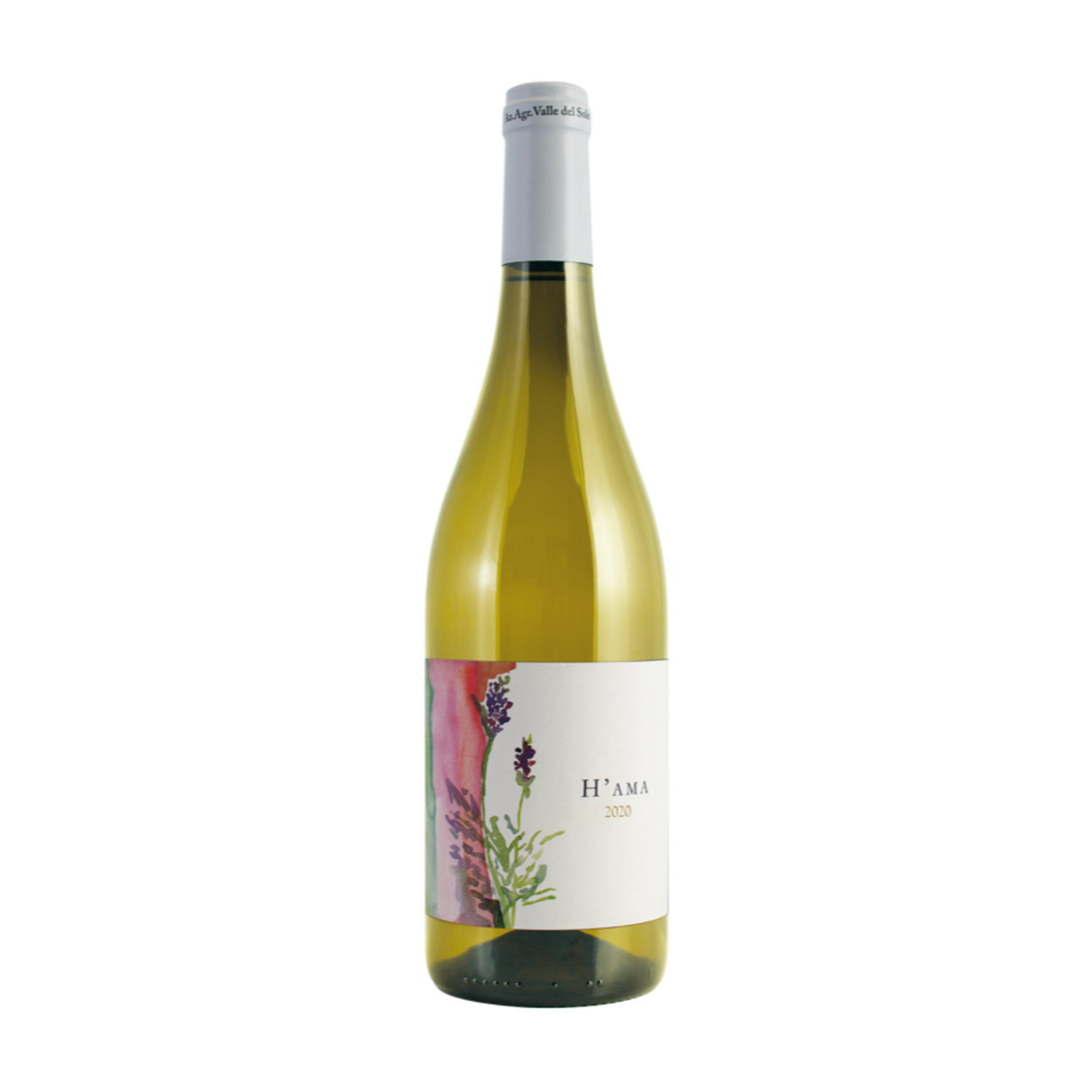 H’ama - Trebbiano - Toscana Bianco 2021 main image