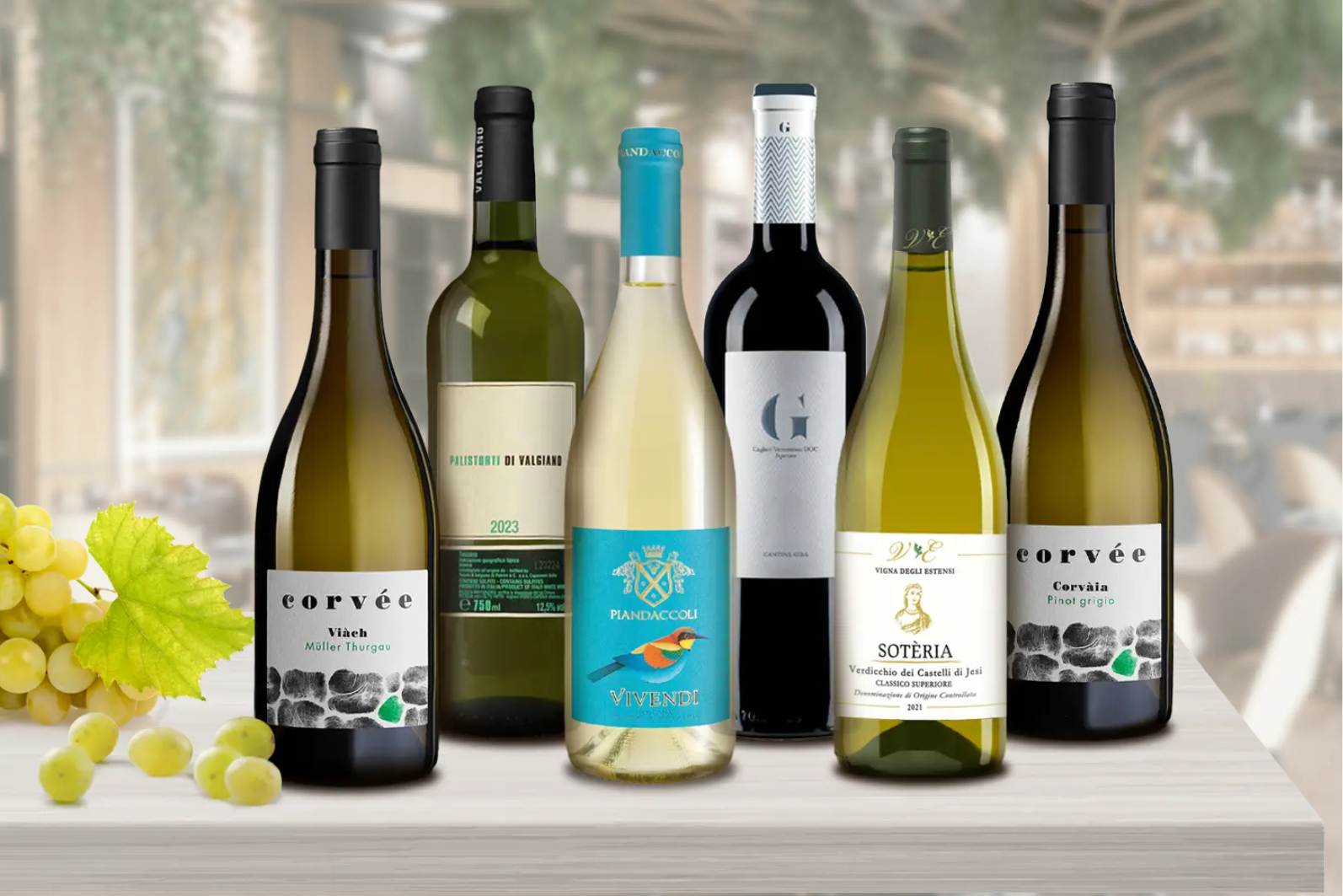 White Wine Discovery Pack - 6 Bottle Bundle main image