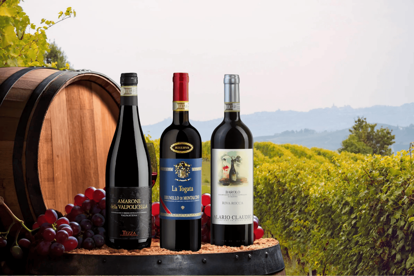 Trilogy of Excellence: Amarone, Brunello, & Barolo Collection main image